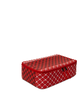 FREQUENT FLIER SNEAKER HOLDER